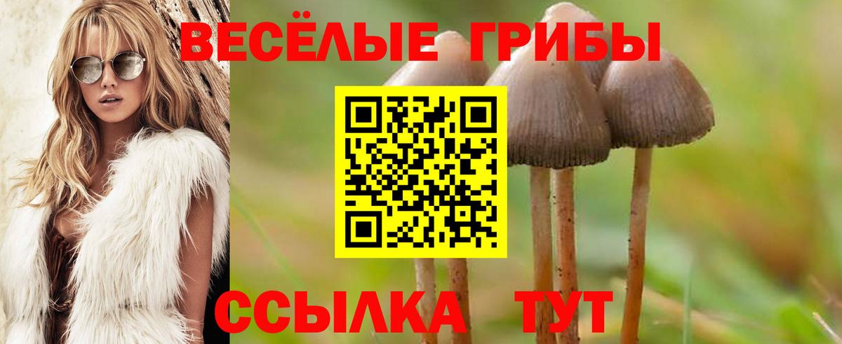 Галлюциногенные грибы ЛСД  Вход с VPN  Можайск  Галлюциногенные грибы мухоморы 